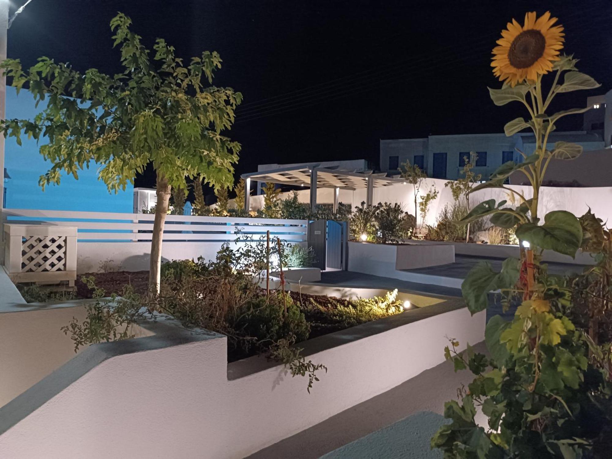 Anthemis Suites อิเมโรวิยอน ภายนอก รูปภาพ